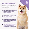 Pet Relax Dog Calming Anxiety Relief, Long-Lasting Dog Relaxants for