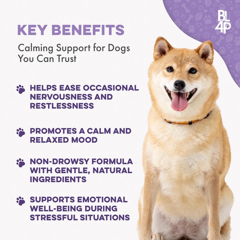 Pet Relax Dog Calming Anxiety Relief, Long-Lasting Dog Relaxants for