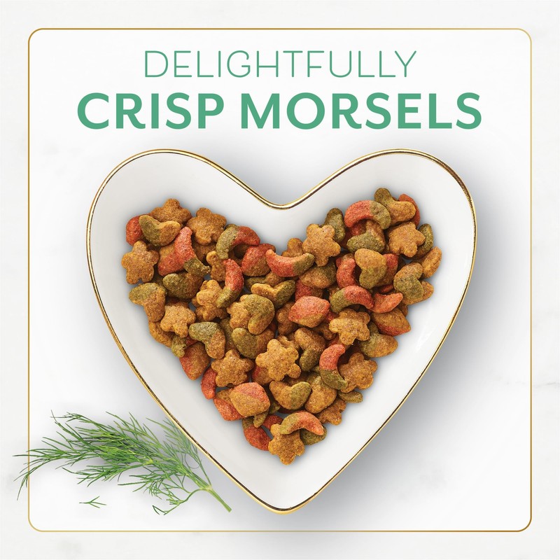 P L-RA Dry Cat Food with Ocean Fish and Salmon