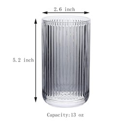 Gaolinci 2 Pcs Glass Tumbler Cup,Toothbrush Holder, Bathroom Cups, 13 oz