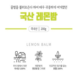 Domestic dried lemon balm leaf lemon balm tea 200g / 국산 말린 레몬밤 잎 레몬밤차 200g