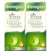 Iberogast LARGE SIZE (100ml) TWO BOTTLES Brand: Medical Futures