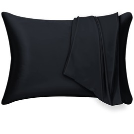 Mulberry Silk Pillowcase 2 Pack for Hair and Skin,with Hidden Zipper.Both Sides 19 Momme Allergen Proof Soft Breathable Smooth Silk Pillow Cover (Standard, Black)