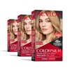 Permanent Hair Color by Revlon, Permanent Blonde Hair Dye, Colorsilk