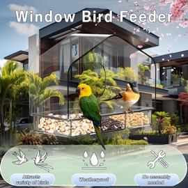 Clear Window Bird Feeder with 3 Strong Suction Cups and Detachable Seed Tray, Sturdy Acrylic Bird Feeders for Viewing Wild Birds Outside, and Garden Decor, Outdoor Birdhouse Feeder
