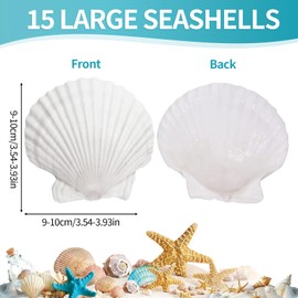 NCOALE 15 Stück Jakobsmuschel Große, 9-10cm Muscheln zum Basteln Natürliche Muscheln Deko Bemalbar für DIY Handwerk Heimdekoration Aquariumdekoration (Weiße)