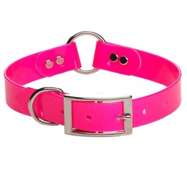 Mendota Pet Biothane Synthetic Collar - Made in The USA - Waterproof, Odor Resistant - Hot Pink, Center Ring Safety Collar, 1 in x 22 in