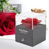 Necklace with Rose Gift Box Exquisite Appearance Preserved Flower Gift