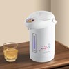 BANEBONE 3.8L Commercial Electric Kettle with Hot Water Dispenser |
