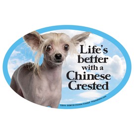 Prismatix Chinese Crested Oval Dog Magnet for Cars