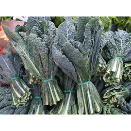 400+ Seeds Black (Elephant) Kale-