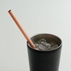 Notdam Antibacterial Copper Straw 2P + Cleaning Brush / 놋담