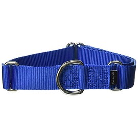 PetSafe Adjustable Martingale Collar - Only Tightens When Dogs Pull, Prevents Slipping Out - Helps with Strong Pullers, Increased Control - Alternative to Choke Collar - 1", Medium, Royal Blue