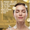 TEATRICAL Agua Micelar con Células Madre de Rosa Blanca, Elimina