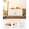 Clewcks Kitchen Vegetable Storage Tins Set of 3 for Potatoes,