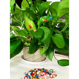 100pcs Assorted Color Self-Adhesive Mini Ladybugs Wooden Ladybug Shaped Sticker(Mixed Color)
