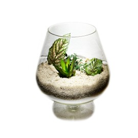 2 Pounds Natural Decorative Real Sand for use in Crafts, Decor, Vase Filler and More | Natural and Non-Toxic, Fun Wet and Dry Indoor and Outdoor, Sandbox, Therapy, and Table Use