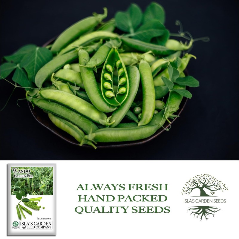 Wando Garden Pea Seeds (Pisum sativum) – 50+ Heirloom Non-GMO
