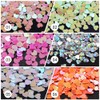 YesLady Nail Art Charms Sequins Heart Flash Nail Face Eyeliner