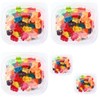 Albanese 12 flavor gummi bears Tub jelibon candy 10 0z