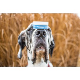 Natural Rapport Dog Paw Wax - The Only Paw & Nose Balm Dogs Need Dogs Need - Moisturizing Balm Protects and Heals Dry or Cracked Skin (2 oz)