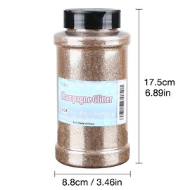 TORC Champagne Fine Glitter 1 Pound 16 OZ Glitter Powder for Tumblers Resin Crafts Slime Cosmetic Nail Painting Festival Decoration
