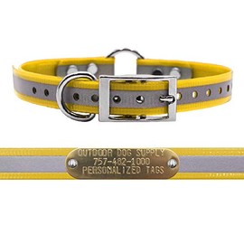 Outdoor Dog Supply's 3/4" Wide Reflective Ring in Center Dog Collar Strap with Custom Brass Name Plate (19" Long, Reflective School Bus Yellow)