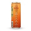 WAVE White Tea Peach Mango Sparkling Beverage Refresher | Low