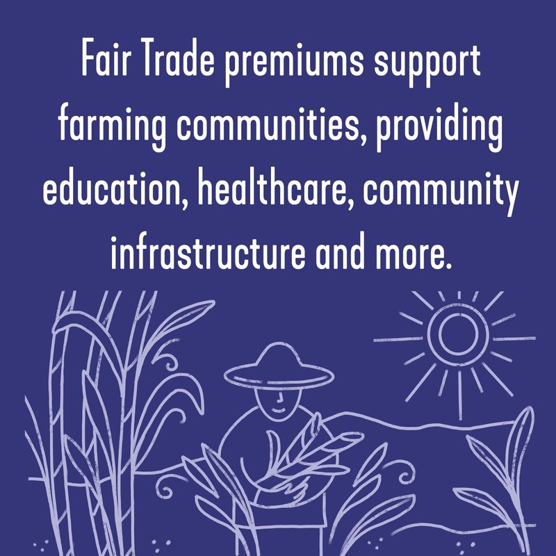 Wholesome Sweeteners 16-Ounce Organic Powdered Confectioners Sugar, Fair Trade, Non