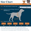 VIVAGLORY High Buoyancy Dog Life Vest, Swimming Vest with Handle,