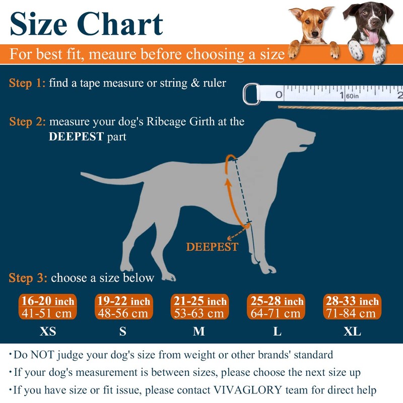 VIVAGLORY High Buoyancy Dog Life Vest, Swimming Vest with Handle,