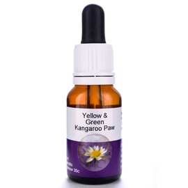 Living Essences Yellow & Green Kangaroo Paw 15ml