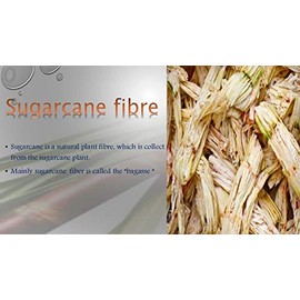 Natural Sugarcane Fibers Bagasse (Bamboo)9 and 7 inch Round Disposable Plates Compostable Eco Friendly Environmental Paper Plates (9inch 50 Count)