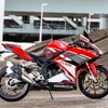 TEOGONIA GOLEM CONVEX TANKPAD CBR250RR (Convex Tank Pad)