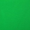 ProMaster Wrinkle Resistant Backdrop 10'x12' - Chroma-Key Green, (Model 2904)