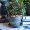 Rustic Tea Cup Planters, Set of 2, Shabby Grey, Zinc,
