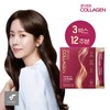 에버콜라겐 스킨앤헤어 3박스(12주분) Evercollagen Skin & Hair 3 Boxes (12 Weeks Supply)