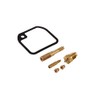 Repair Kit BVF Nozzles 16N1-8 with Float Chamber Seal