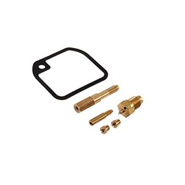Repair Kit BVF Nozzles 16N1-8 with Float Chamber Seal