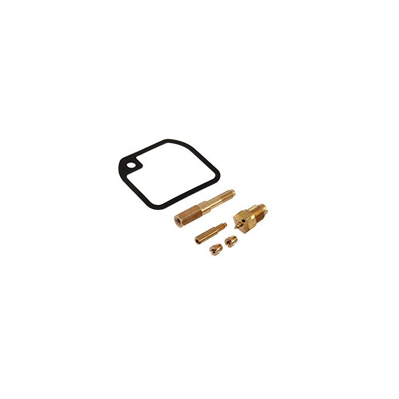 Repair Kit BVF Nozzles 16N1-8 with Float Chamber Seal