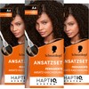 Schwarzkopf Root Set A4 Dark Brown Level 3 (3 x