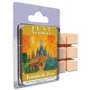 A2Z Fire Just Aromas Bangkok Zest Wax Melts