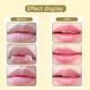 XdealCozyxc 3PCS Honey Balm Uk Lip, Bee Honeybalm for 24h