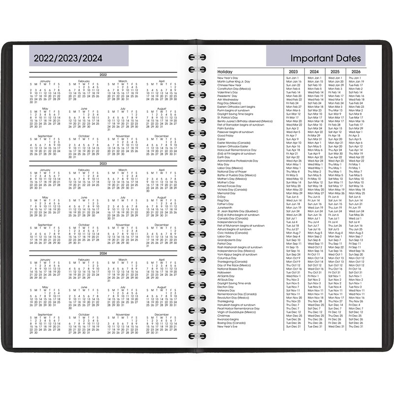 AT-A-GLANCE DayMinder 2023 Daily Appointment Book Planner, January - December,