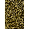 SPRINKLY - Matt 100's & 1000's - Black & Gold