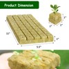 Erilolen 1.5" Rockwool Grow Cubes for Hydroponics - 98 PCS