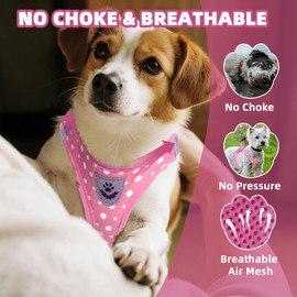 PAWCHIE Dog Harness and Leash Set, Step in No Pull Soft Pet Harness, Reflective Adjustable Puppy Vest for Small Medium Dogs Cats, No Choke Harness Vest with Poop Bag Holder for Walking,Running, Pink M