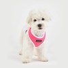 Soft Harness II - Pink - S