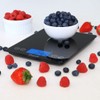 Escali 2210IB ArtiXL Extra-Large Glass Digital LCD Display Kitchen Scale,