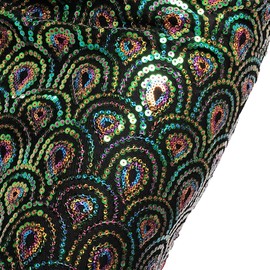 ROYAL SMEELA Women’s Belly Dance Hip Scarf Tribal Triangle Tassel Peacock Hip Scarves Skirt Belly Dancing Costume One Size